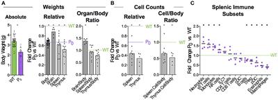 Single-Cell Analysis Identifies Thymic Maturation Delay in Growth-Restricted Neonatal Mice